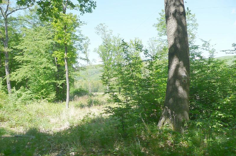 szate 085.jpg
